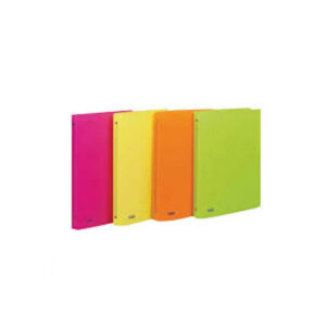 CARTELLE CON ANELLI NEON 22X30 D.3 PZ 10