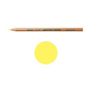PASTELLI GIOTTO NAT.GIALLO FLUO