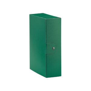 CARTELLA CON BOTTONE VERDE D.10