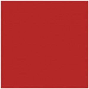 TOVAGLIOLI CARTA 38X38 ROSSO 40PZ