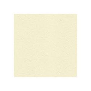 CARTONCINO A4 200GR AVORIO 100FF