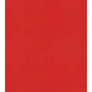 CARTONCINO A4 160GR ROSSO 250ff
