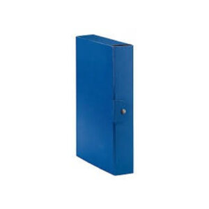 CARTELLA CON BOTTONE BLU DS.6