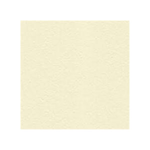 CARTONCINO A4 GRANDUCATO 250gr AVORIO 50FF