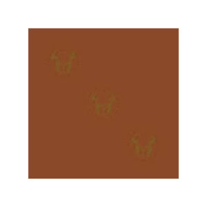 GOMMA EVA 40X60 MARRONE