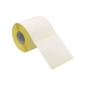 ETICHETTE ROTOLO 100X100 450 PEZZI