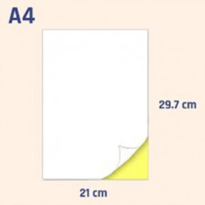 ETICHETTE A4 21X29,7 100FF